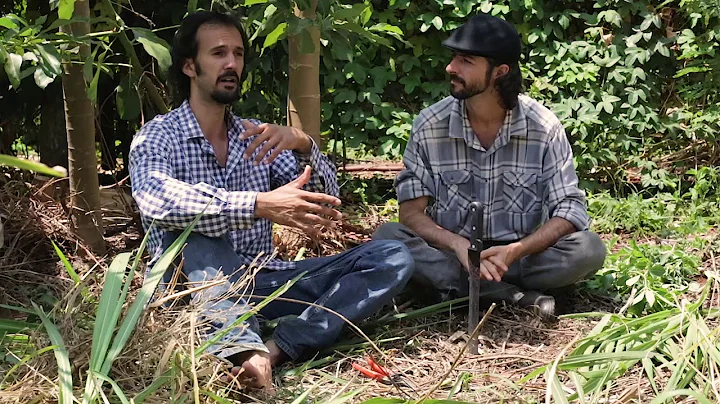 AGROFORESTRY COURSE | Lesson 8, Module 2 - Module Final Considerations | Food Forest COURSE |