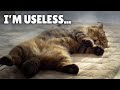 I'm a Useless Kitty... | Kittisaurus Villains