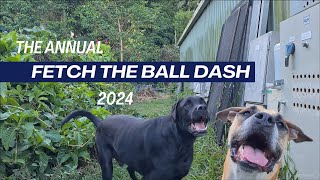 The Annual Fetch the Ball Dash 2024 | When the commentator doesn't know when to stop talking