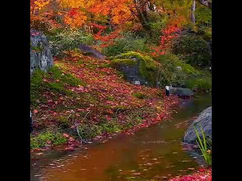 !!Most beautiful waterfall nature WhatsApp status in hindi song!!