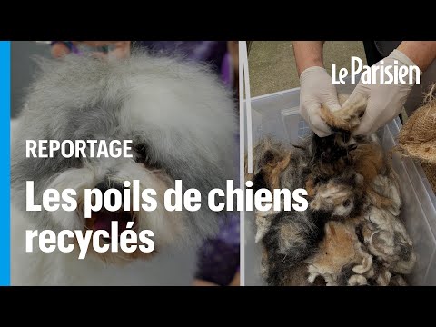 Vidéo: Pas de clou, pas de balle : les secrets des pneus de véhicules spéciaux impénétrables