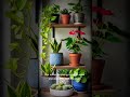 Do Plants Need Humidity? #PlantHumidity #IndoorGarden #PlantCareTips #PlantShorts