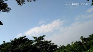 ด้วงกว้างเยอะมากที่ทางเข้าฟาร์มเบิร์ดไก่ชน สระบุรี