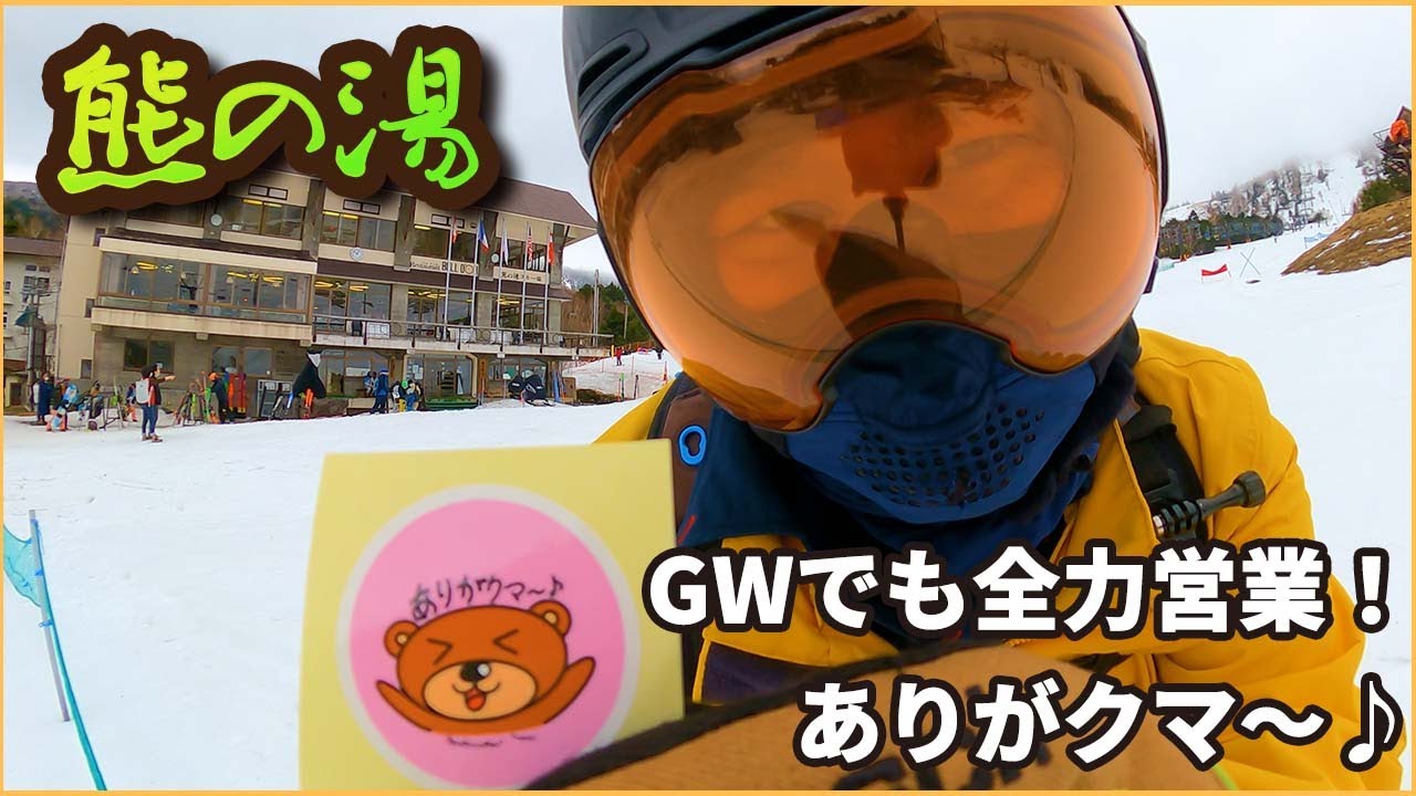 バカラ　クマのスキー バカラ クマのスキー