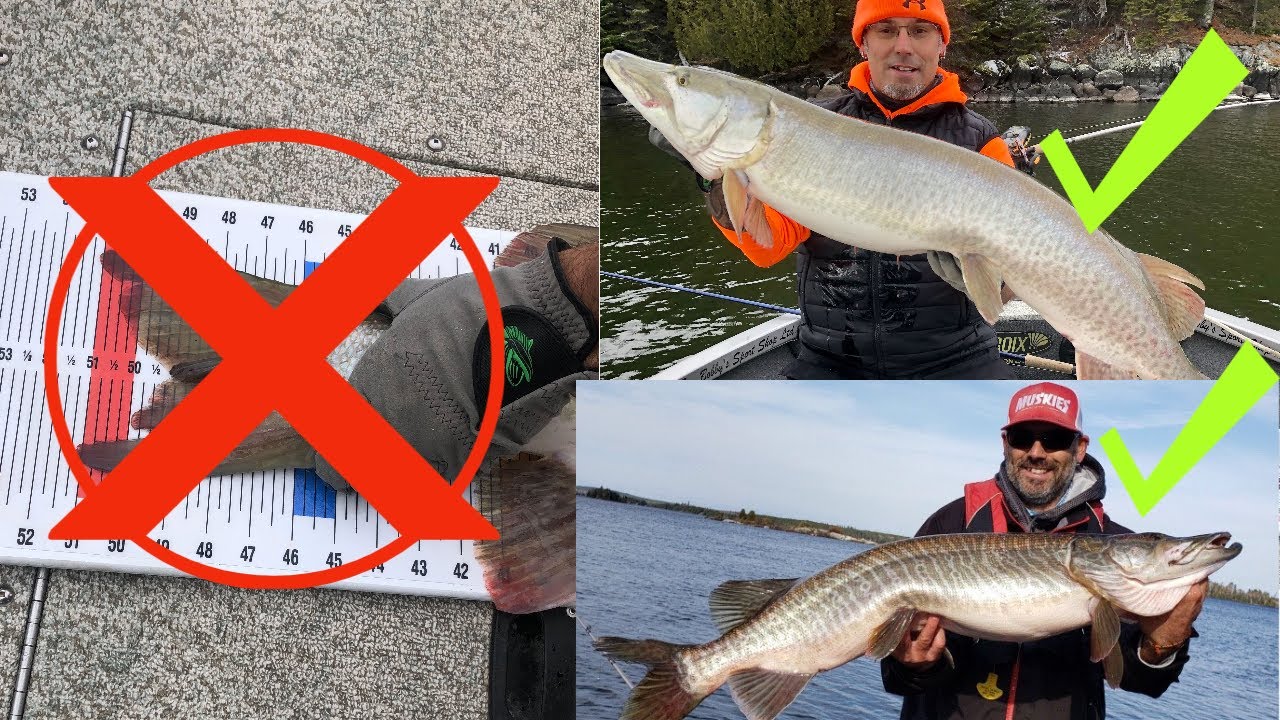 BECOME A BETTER MUSKY ANGLER, STOP DOING THIS!!! Let go of the