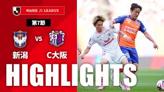 アルビレックス新潟vsセレッソ大阪 J1リーグ 第7節