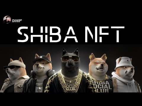 SHIBA SOCIAL CLUB來了！CRYPTOBULL 賺超過十倍！還有免費熊可以拿？進軍元宇宙！NFT!【NFT和元宇宙】| Nicky帶你飛【DNF】