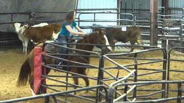 Miss Scoot N Toot - sorting practice - run #4 - Valley View Ranch