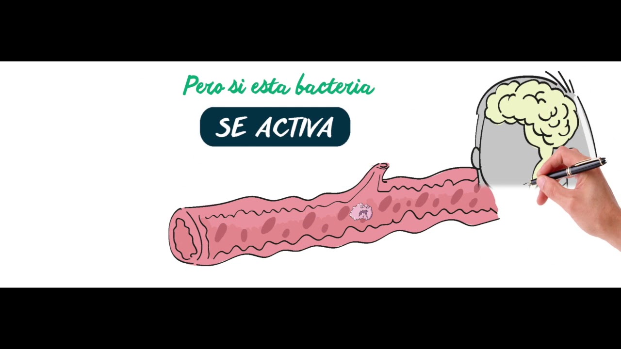 españa vuelta ¿Sabes qué es la meningitis?