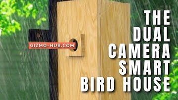 BIRDFY NEST : A DUAL-CAMERA SMART BIRD HOUSE | Kickstarter | Gizmo-Hub.com