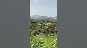 قران كريم ارح قلبك وسمعك #قران #المصحف #quran #الرحمن #راحة_نفسية @قران_في_دقيقة