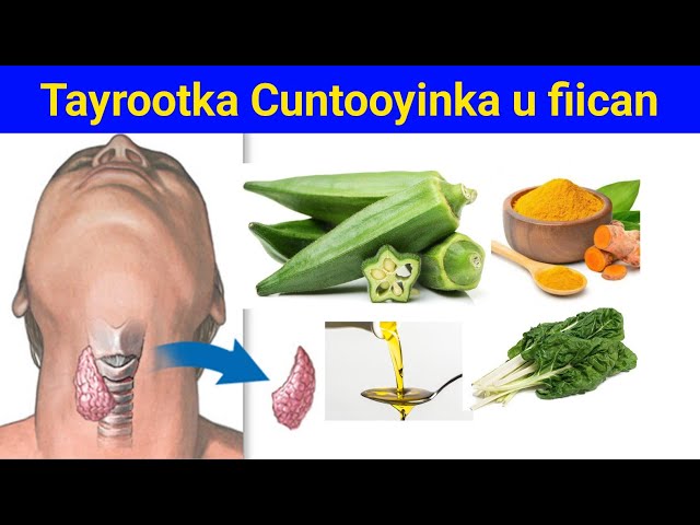 Brazzers porno filmlarini onlayn tomosha qiling Porno klip birodarlar com