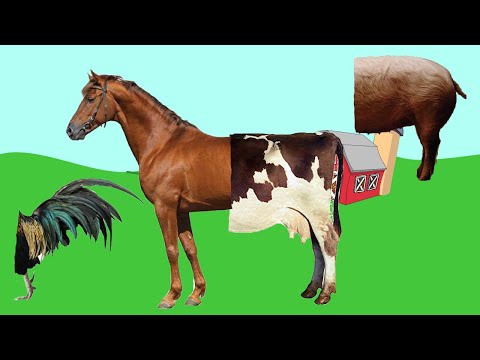 არასწორი ტანი