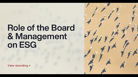 Role of the Board & Management on ESG