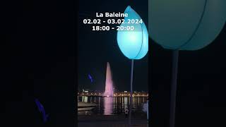 Festival Geneva Lux, Whale Show, La Baleine,#shorts