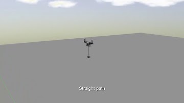 Path Tracking Control with State Estimation for Aerial Load Transportation