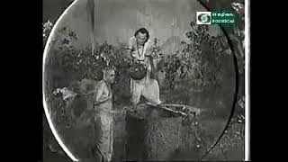 Annaiyum Thandhaiyum Thanae | Timeless Song by M.K. Thyagaraja Bhagavathar