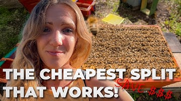 Beekeeper