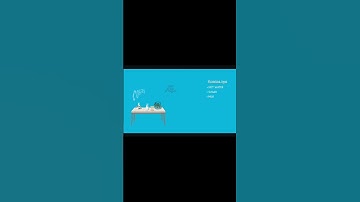 primitive & reference data types