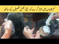 Hairs gray coverage in low price by saima imran beauty techniques