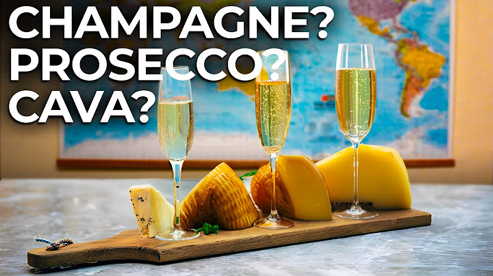 Exploring the World of Sparkling Wines: Champagne and More!