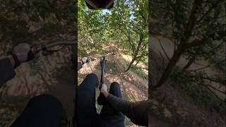 T-bog over another trail! #mtb #downhillmtb #mountainbike #fyp