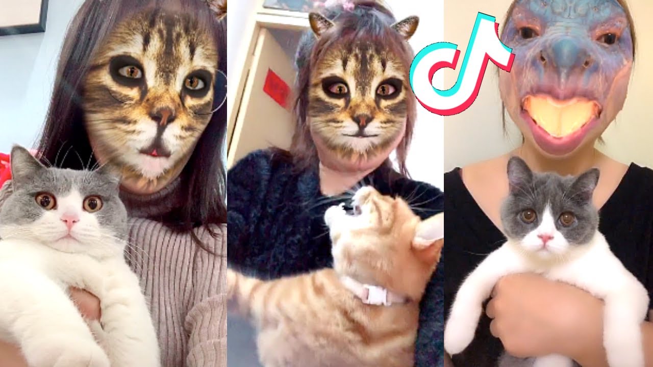 Cat filter on Douyin app leaves pets hilariously confused