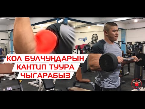 Кантип кол булчуңдарын туура чыгарабыз - Келдибек Атайбеков