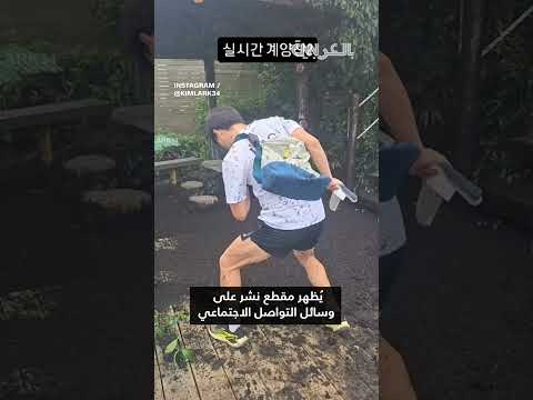 أسراب حشرات الحب تغزو كوريا الجنوبية بأعداد كبيرة