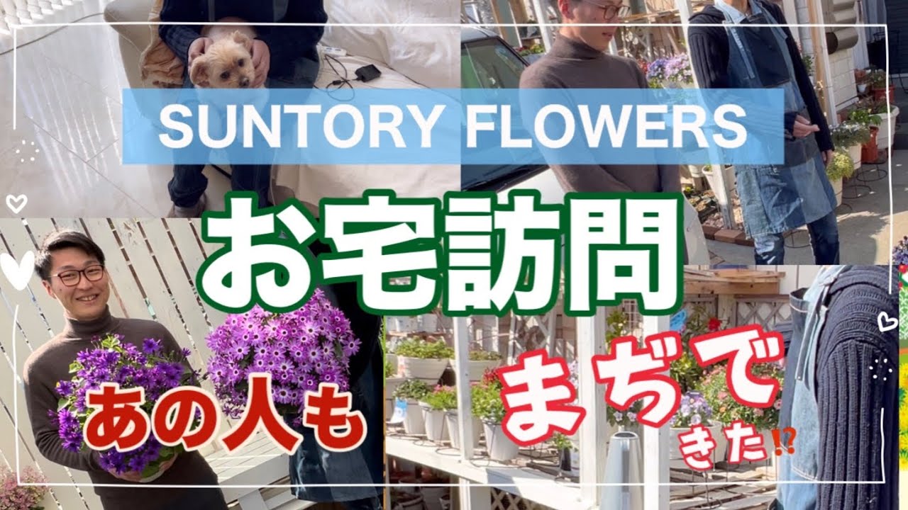 あの「SUNTORYFLOWERS」さんが 僕の家に来ました‼️初コラボ？Tomsの