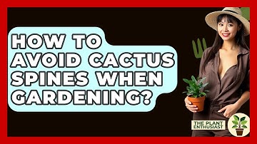 How To Avoid Cactus Spines When Gardening? - The Plant Enthusiast