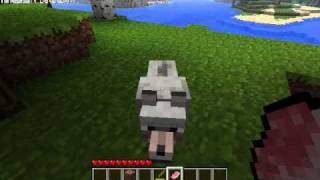 Minecraft 1.4 Update: Wolf Attack!