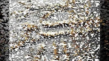 أروع قراءة سورة عبس الشيخ أمين كركوش