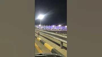 ديما عامرة 