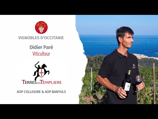 Didier Paré, viticulteur chez Terres des Templiers, à Banyuls-sur-Mer