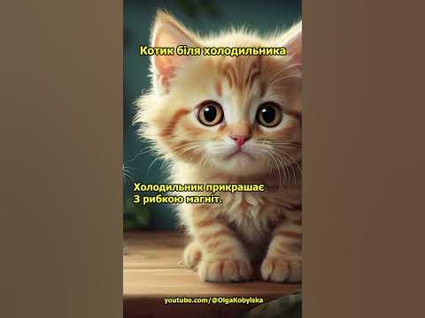 Котик біля холодильника #киця #котик #милакиця #милота #милікоти #коти ...