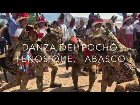 Danza del pochó, un baile tradicional en Tenosique Danza del pochó, un baile tradicional en Tenosique