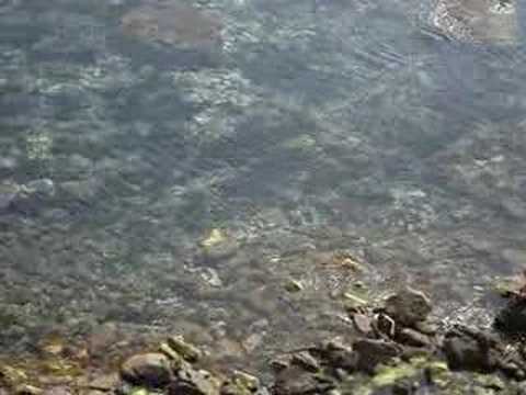 Algeria Jijel Summer