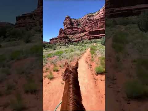 Видео: Пътуване в Аризона с деца