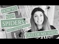 What is the Best Way to Keep Spiders & Pests Out? What is the Best Way to Keep Spiders & Pests Out?