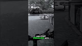 Unveiling Ellen Sears Marks  A Journey Through Life