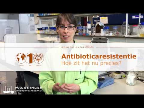 Global One Health: Antibiotic resistance, how does it work?