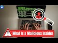 What Is a Malicious Insider and How to Detect Them⁉️