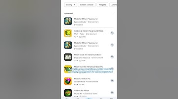 How to get mods in melon playground