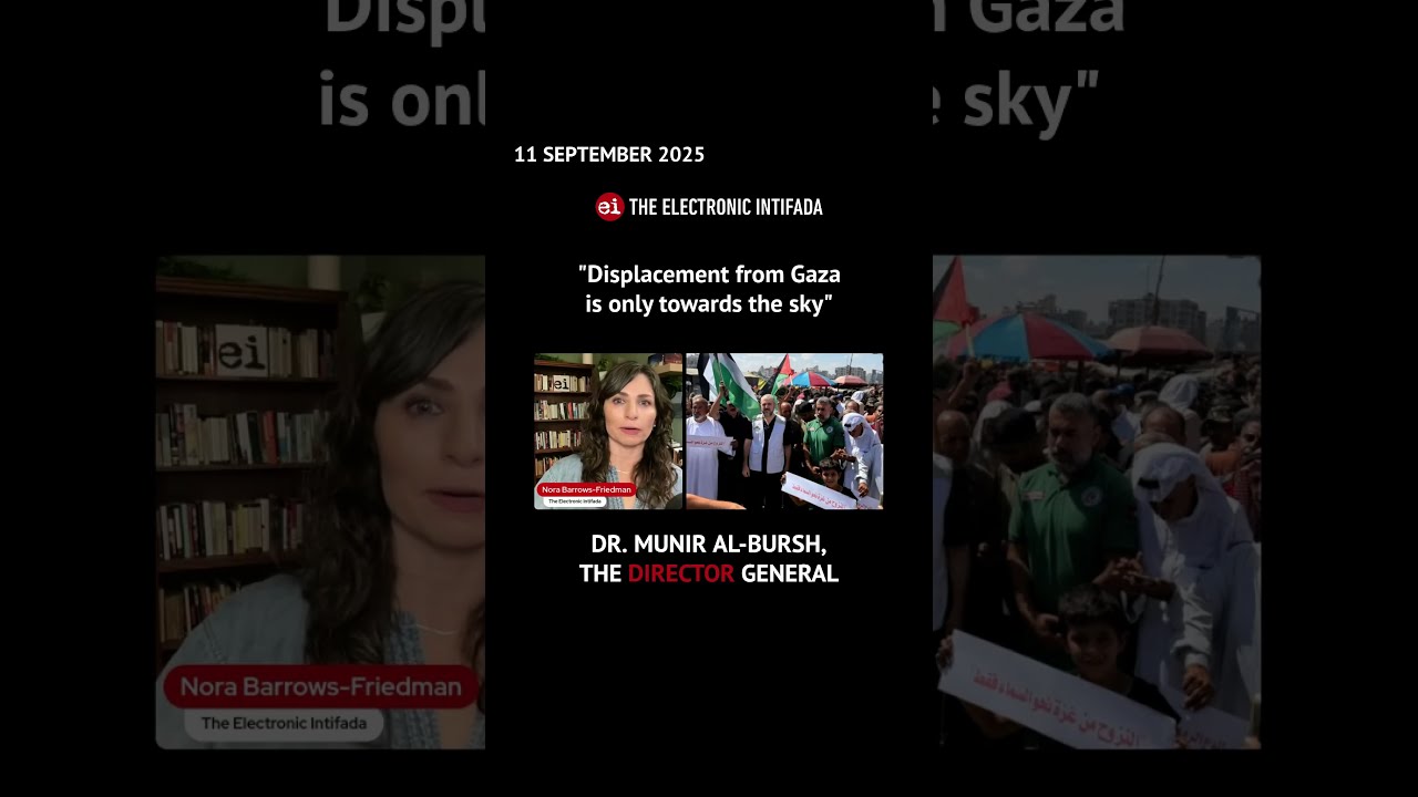  Displacement From Gaza Is Only Towards The Sky