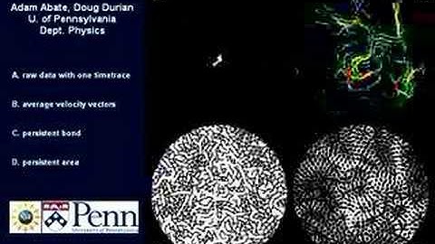 Spatially heterogeneous dynamics in a granular system