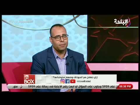 القطة أكلت عيالها جملة بنسمعها كتير لكن اعرف الحقيقة من د محمد دربالة
