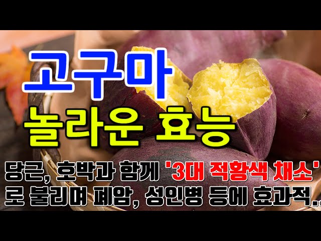 고구마의 놀라운 효능 8가지 u0026 부작용 / 건강한 선택, 베타카로틴과 식이섬유의 풍부한 보급 class=