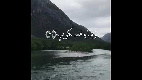تلاوة خاشعة ومؤثرة جداً للقارئ الشيخ عمير شميم/وَحُورٌ عِينٌ(22) كَأَمْثَالِ اللُّؤْلُؤِ الْمَكْنُ