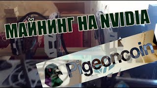 Майнинг Pigeon coin (PGN) на Nvidia